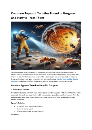 Common Types of Termites Found in Gurgaon and How to Treat Them