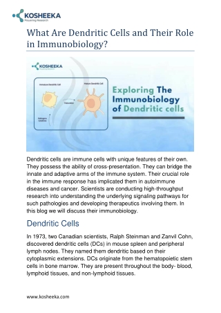 What Are Dendritic Cells and Their Role in Immunobiology?