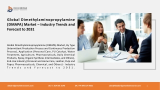 Global Dimethylaminopropylamine (DMAPA) Market