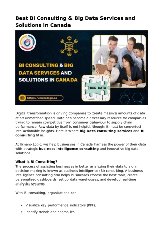 Best BI Consulting & Big Data Services and Solutions in Canada