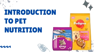Essential Nutrition Tips for Dogs and Cats