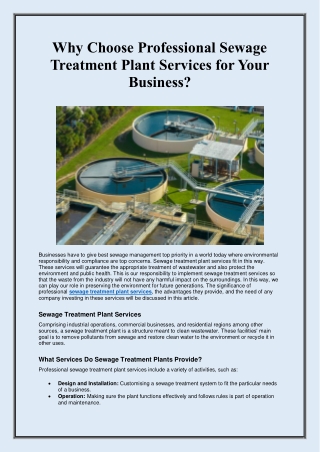 Why Choose Professional Sewage Treatment Plant Services for Your Business