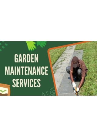 Garden Maintenance Services in Delhi NCR – Expert Care for Beautiful Green Space