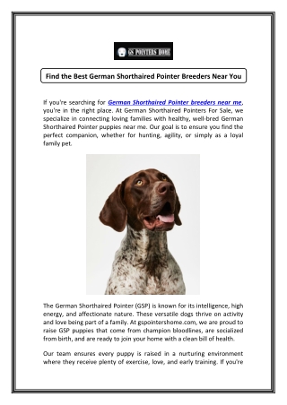 Trusted German Shorthaired Pointer Breeders Near Me