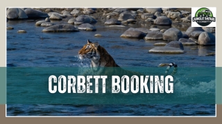 Corbett Booking Made Easy – Plan Your Perfect Jungle Getaway