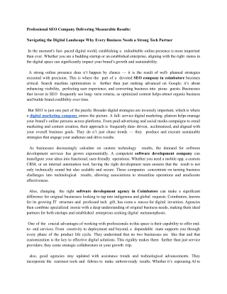 Professional SEO Company Delivering Measurable Results_