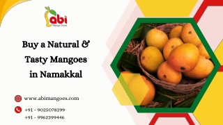 Buy-A-Natural-And-Tasty-Mangoes-in-Namakkal