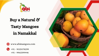 Buy-A-Natural-And-Tasty-Mangoes-in-Namakkal