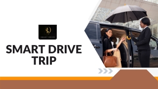 airport transfer executive