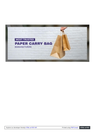 lakuprosperedge_com_paper_carry_bag_manufacturer