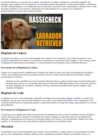 Enfermedades Comunes en el Labrador Retriever y C&oacute;mo Prevenirlas