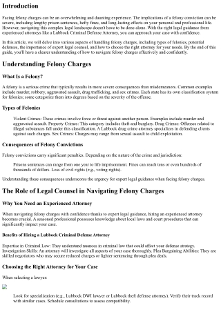 Navigating Felony Charges With Confidence Thanks to Expert Legal Guidance