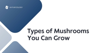 Types of Mushrooms You Can Grow