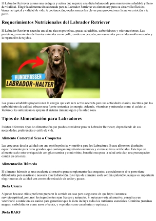 Gu&iacute;a Completa para Alimentar a Tu Labrador Retriever de Forma Saludable