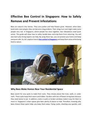 Effective Bee Control in Singapore: How to Safely Remove and Prevent Infestation