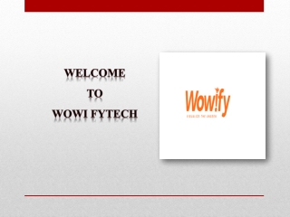 SEO Work in BC | Wowi Fytech