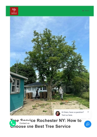 Tree Service Rochester NY How to Choose the Best Tree Service Company in Rochester NY