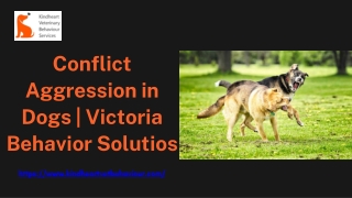 Conflict Aggression in Dogs  Victoria Behavior Solutios