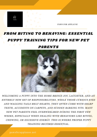 From Biting to Behaving Essential Puppy Training Tips for New Pet Parents