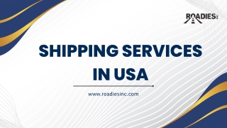 Boost Your Business with Reliable Shipping Services in the USA