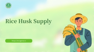 Rice Husk Supply