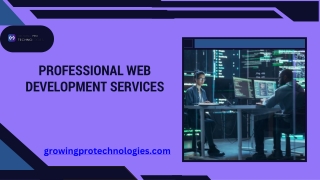 Professional Web Development Services to Elevate Your Digital Presence