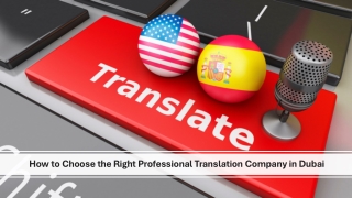 Vision Translation Presentation