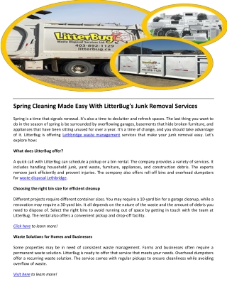 Spring Cleaning Made Easy With LitterBug's Junk Removal Services