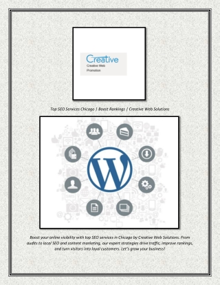 Top SEO Services Chicago  Boost Rankings  Creative Web Solutions