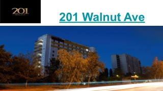 201 Walnut Ave Slides