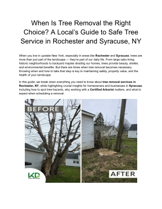 When Is Tree Removal the Right Choice