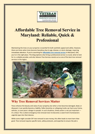 Affordable Tree Removal Service in Maryland Reliable, Quick & Professional