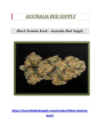 Buy Black Domina Kush Online