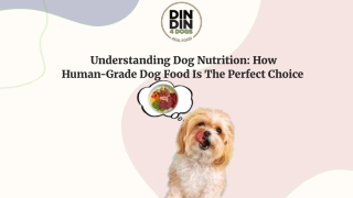 Understanding Dog Nutrition_ How Human-Grade Dog Food Is The Perfect Choice