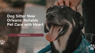 Dog Sitter Services in New Orleans