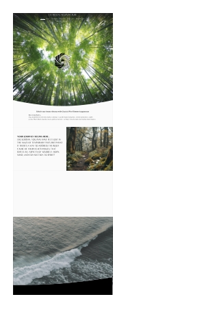 Fairhaven acupuncture