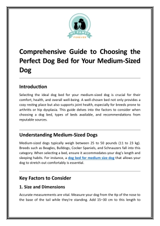 Comprehensive Guide to Choosing the Perfect Dog Bed for Your Medium-Sized Dog
