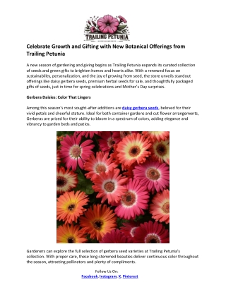 Trailing Petunia- Daisy Gerbera Seeds