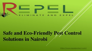 Safe and Eco-Friendly Pest Control Solutions in Nairobi