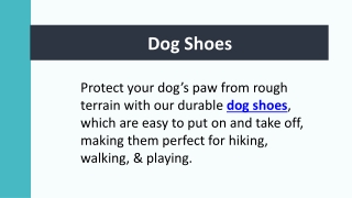 Dog Shoes