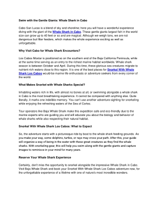 Swim with the Gentle Giants Whale Shark in Cabo