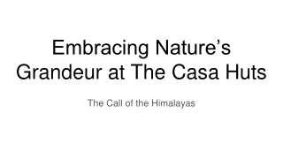 Embracing Nature’s Grandeur at The Casa Huts