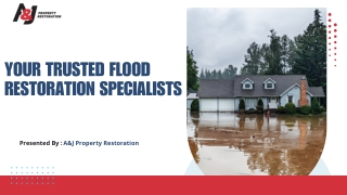 Your Trusted Flood Restoration Specialists