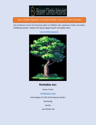 Lokal trädfällningsexpert som tillhandahåller snabba och säkra lösningar