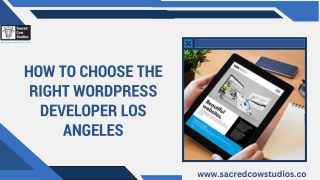 How to Choose the Right WordPress Developer Los Angeles