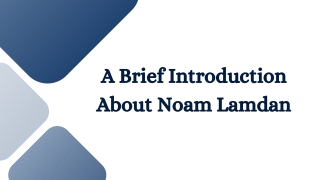 A Brief Introduction About Noam Lamdan