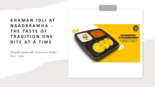 Khaman Idli At Naadbramha - The Taste Of Tradition One Bite At A Time