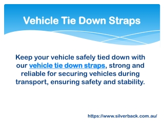 Vehicle Tie Down Straps