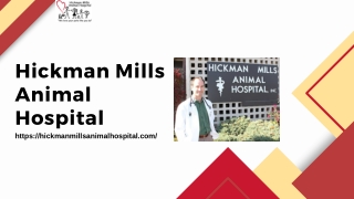 Best Vet Hospitals in Kansas City for Your Pets