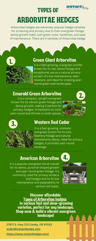 The Ultimate Guide to Arborvitae Hedge Varieties